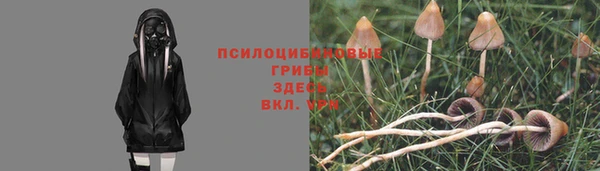 mdpv Сясьстрой